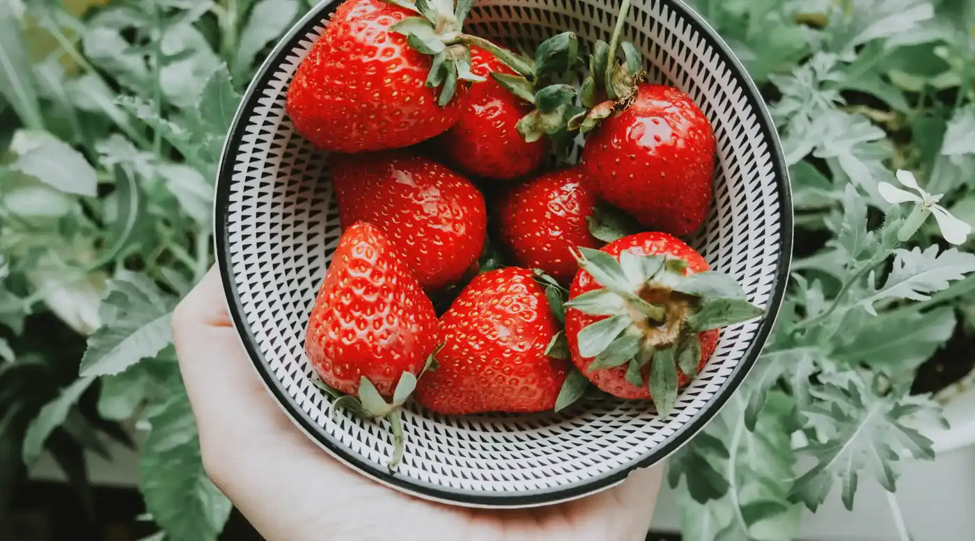 Hand holding a bowl of fresh strawberries above green leaves