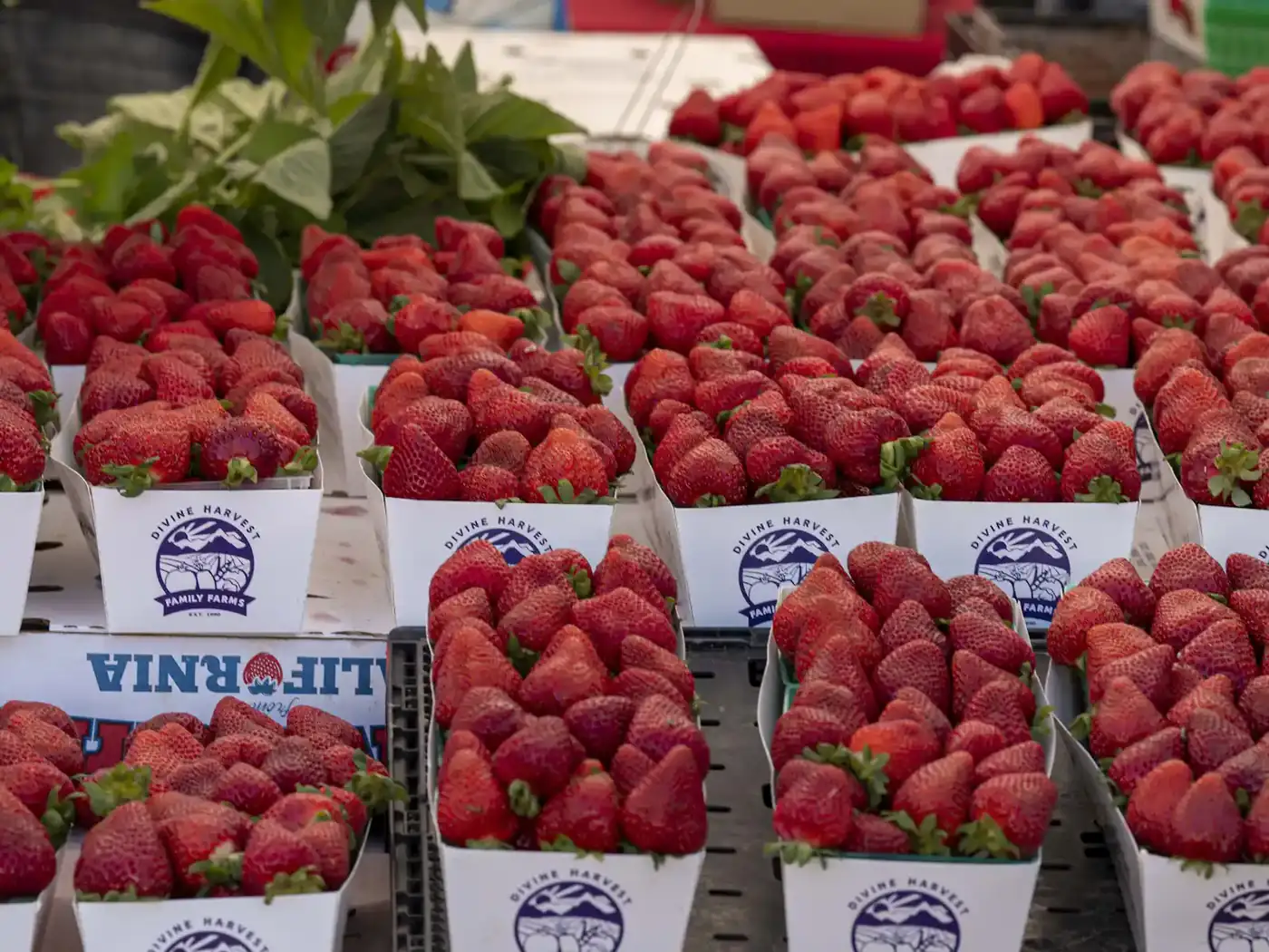 800x600 Baskets of fresh strawberries at a market